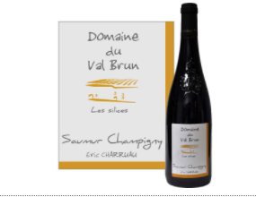 Domaine du Val Brun Saumur Champigny Les Silices 2019/Frankrijk